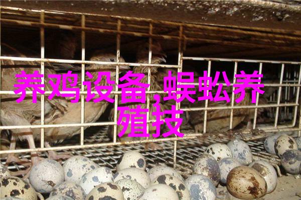 农村小型养猪场猪舍图农村小型养猪场设计