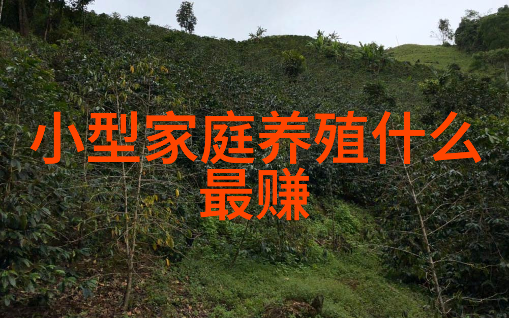 养猪成本控制在6元或许不再是梦