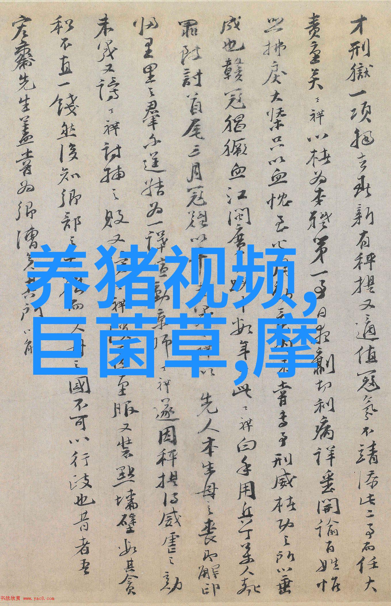 浅论我国养猪生产发展战略