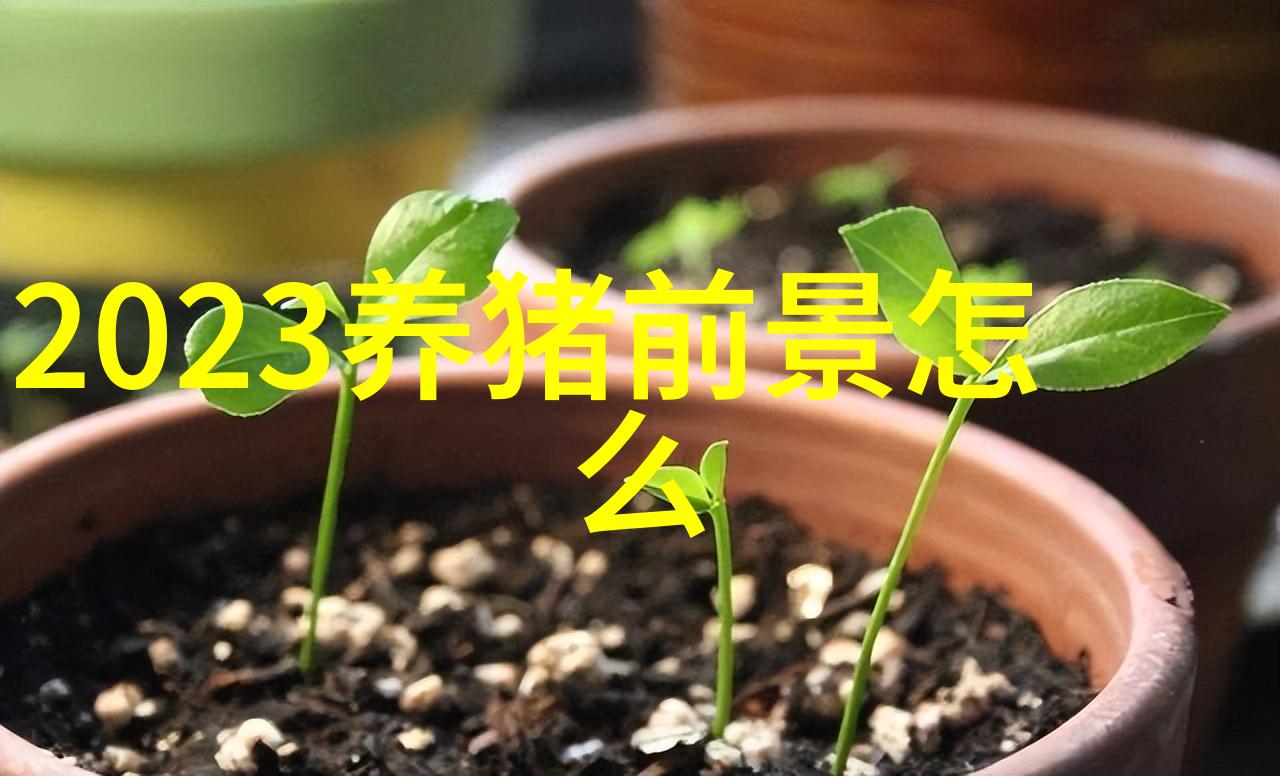 巧用猪胆治的猪病