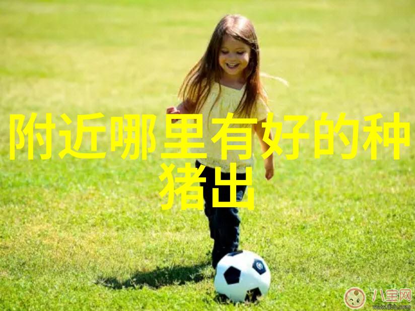 未来中小规模猪场的发展方向
