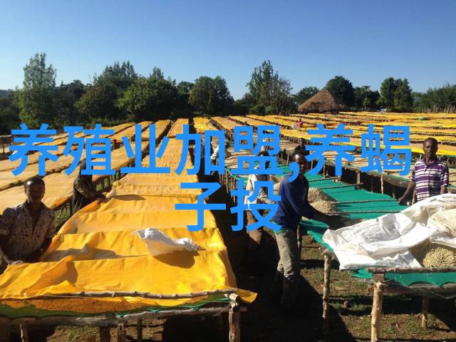 正确选用的8个健康关键词
