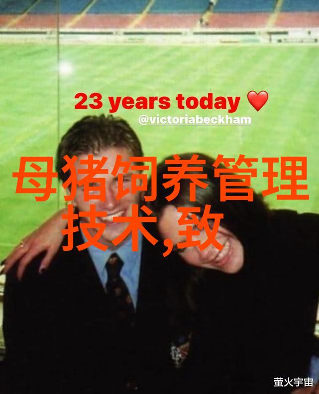母猪的产后热如何防治