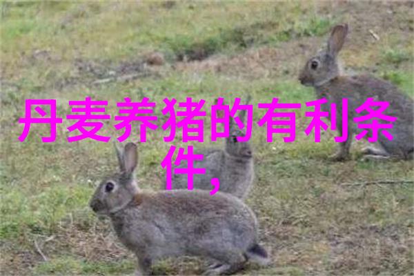 养猪最长亏损期 何时才到头
