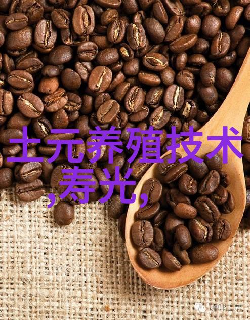 四措施防生猪价格下跌
