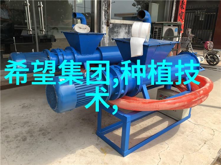 养猪流怎么破养猪流怎么玩全面讲解