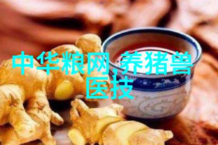 养猪基础知识养猪技术大全养猪技术百科