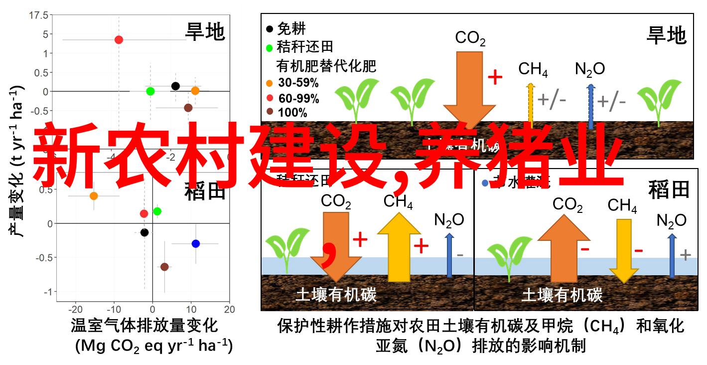 妊娠母猪夏季管理方法