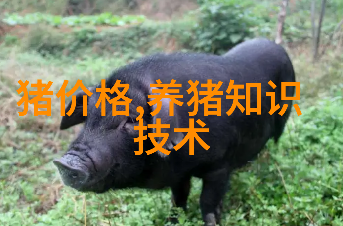 种猪蹄病病因分析与综合防治