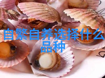 母猪饲养管理中的不足及改善措施