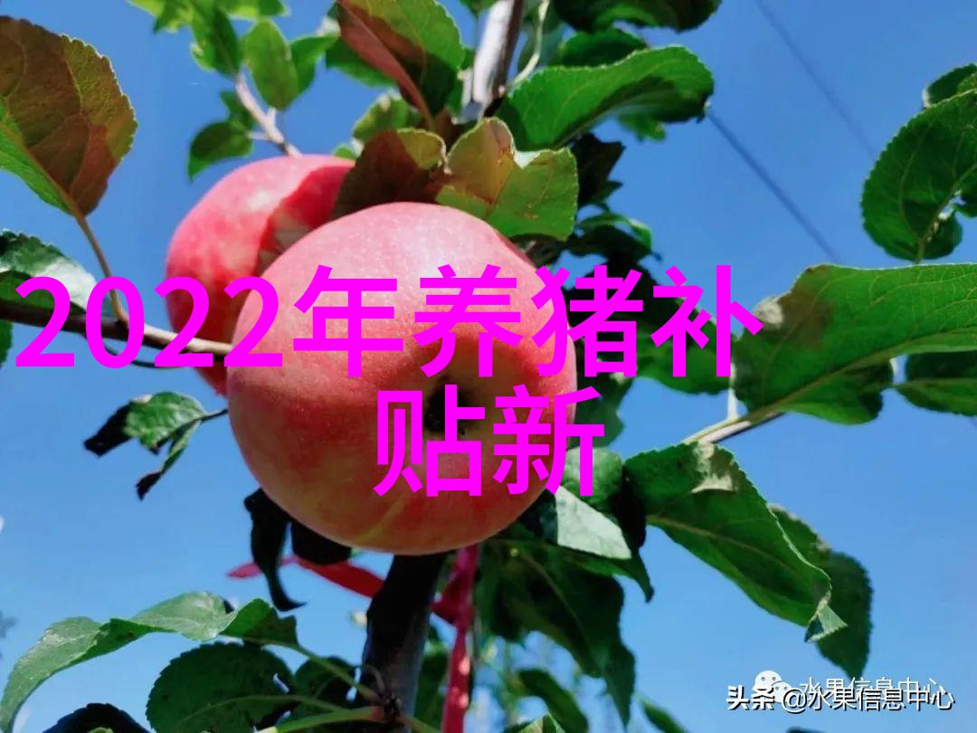 养猪利润去哪儿了告诉你一个科学的猪场利润计算方法