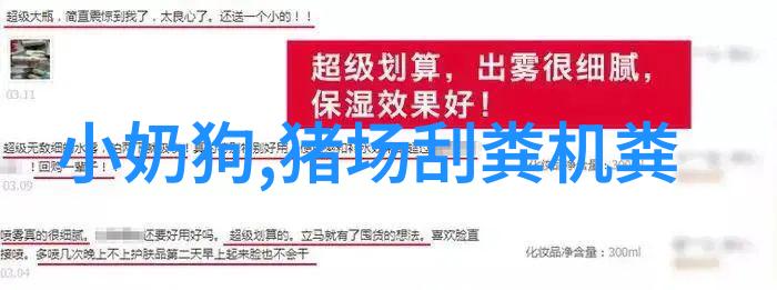 数字化 数字化是什么的基础