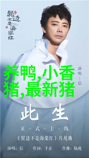 养宠物鸭子注意事项养宠物鸭攻略