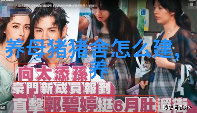 子猪腹泻不难治
