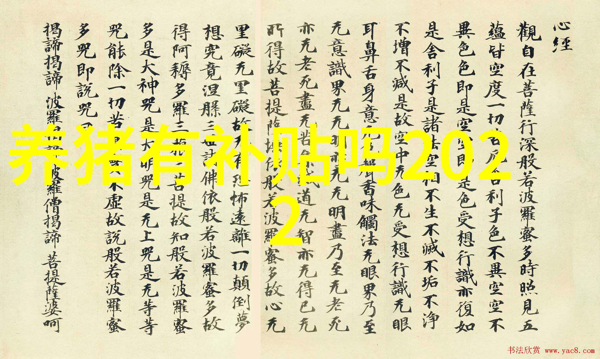 母猪鉴定后适时配种