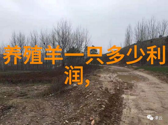 大退潮 大退潮一年几次