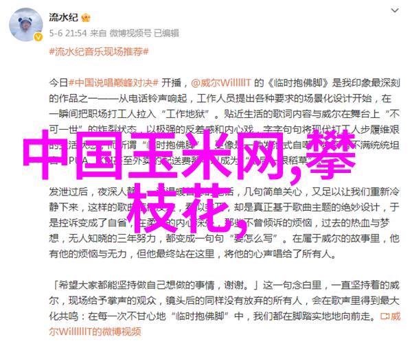 猪鸡高效循环 饲养新技术