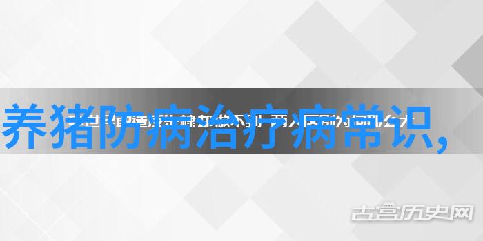 怀孕母猪的科学饲养管理要点